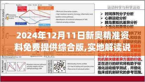 2024新奥资料免费精准051|标题释义解释落实|0.888168175