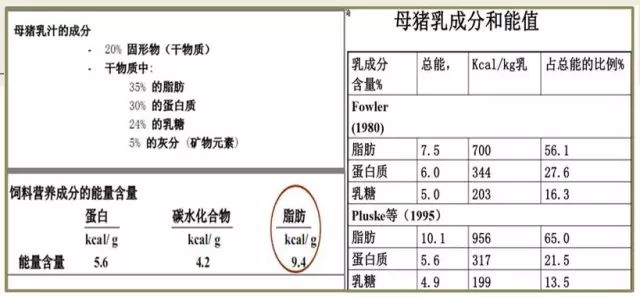 2024年全年资料免费大全优势|精选解释解析落实